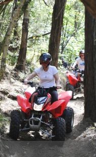 quad bike through the forest